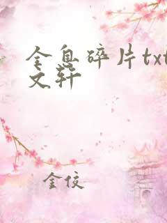 全息碎片txt文轩