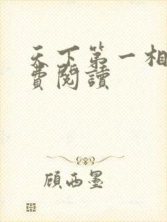 天下第一相书免费阅读