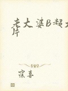 老大婆B超大图片