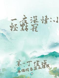 一夜深情:小叔轻点宠