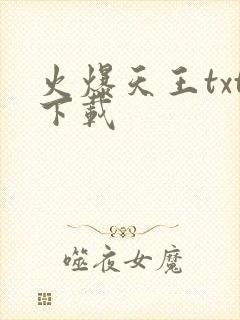 火爆天王txt下载