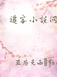 追客小说网