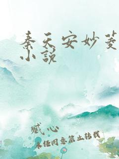 秦天安妙菱修仙小说