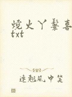 烧火丫鬟喜洋洋txt
