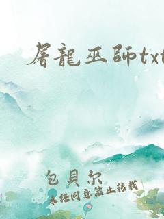 屠龙巫师txt