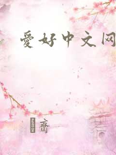 爱好中文网