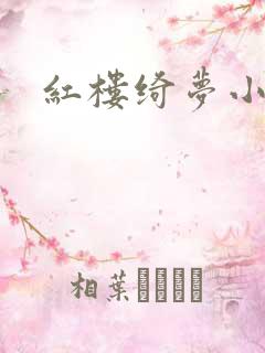 红楼绮梦小说