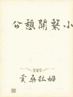 公憩关系小说