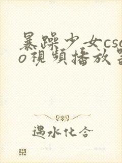 暴躁少女csgo视频播放器推荐