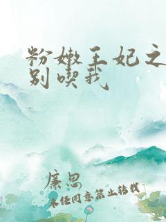 粉嫩王妃之殿下别吃我