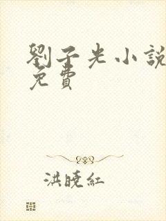 刘子光小说全文免费