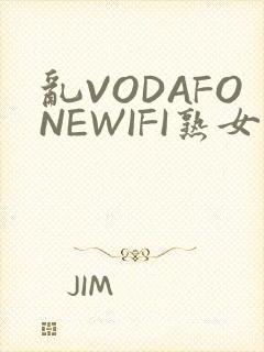 乱VODAFONEWIFI熟女