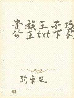 贵族王子巧遇穷公主txt下载