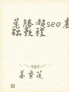 叶胜超seo基础教程