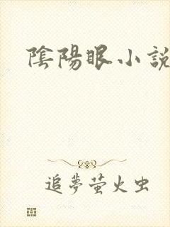 阴阳眼小说