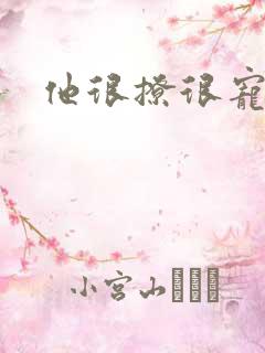 他很撩很宠全文