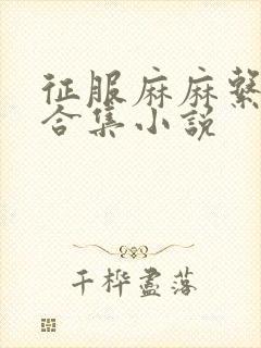 征服麻麻系列大合集小说