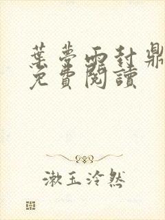 叶梦雨封鼎小说免费阅读