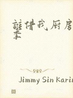 谁借我厨房第二季