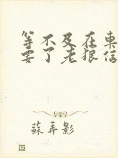 等不及在车里就要了老狼信息