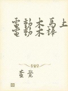 电动木马上两个电动木棒