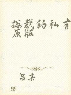 总裁的私有宝贝原版