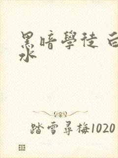 黑暗学徒 白开水