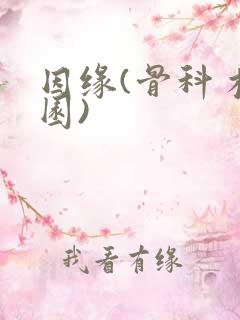 因缘(骨科 校园)