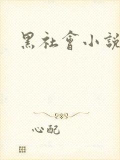 黑社会小说下载