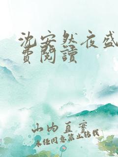 沈安然夜盛霆免费阅读