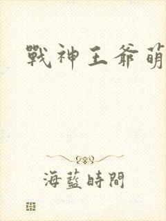 战神王爷萌虎妃