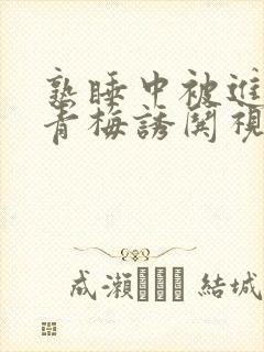 熟睡中被进了H青梅诱哄视频