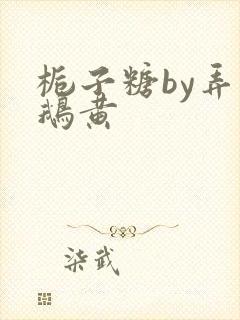 栀子糖by弄白鹅黄