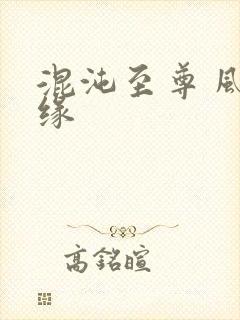 混沌至尊 风随缘