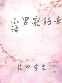 小男宠的幸福生活