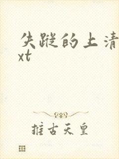 失踪的上清寺txt