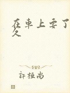 在车上要了我很久