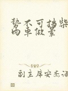 势不可挡柴鸡蛋肉车做晕