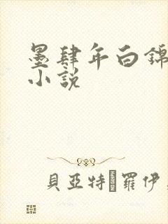 墨肆年白锦瑟 小说
