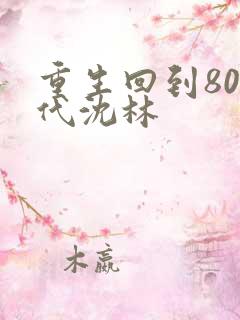 重生回到80年代沈林