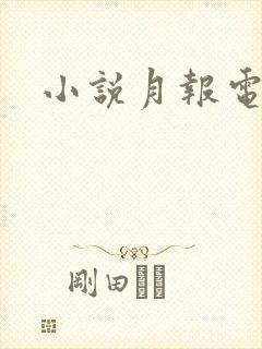 小说月报电子版