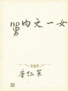 np肉文一女多男
