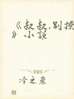 《叔叔,别撩我》小说