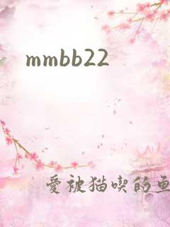 mmbb22