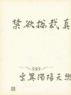 禁欲总裁真能干