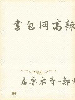 书包网高辣文