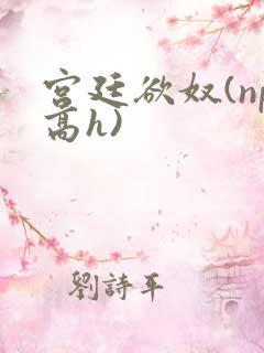 宫廷欲奴(np高h)