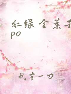 红绿 金叶子 po