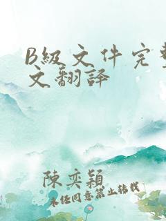 B级文件完整中文翻译