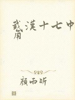 武汉十七中女主角